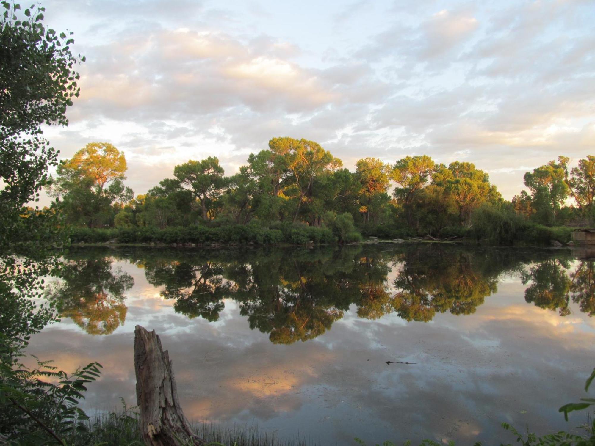 Lazy Oaks Resort Pinetop-Lakeside Esterno foto